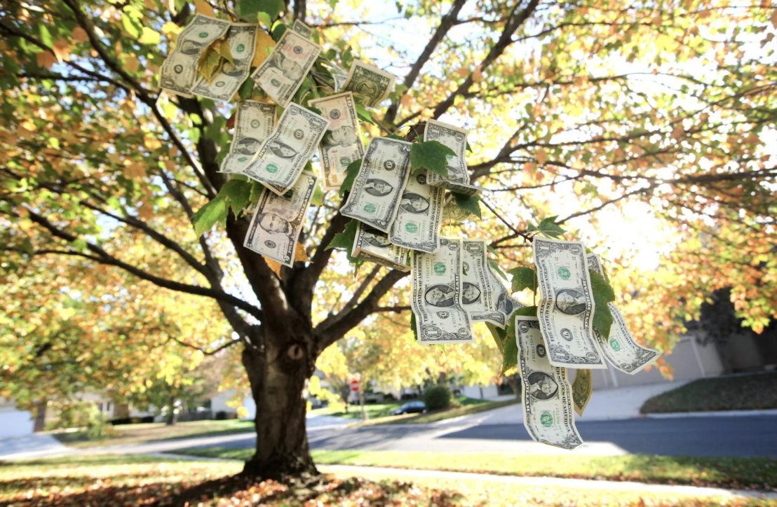 Money Seeds – Unlock the Secret to Financial Flow and Freedom